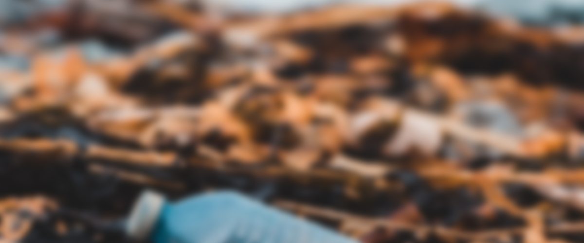 Donec venenatis felis eu leo luctus, et blandit.